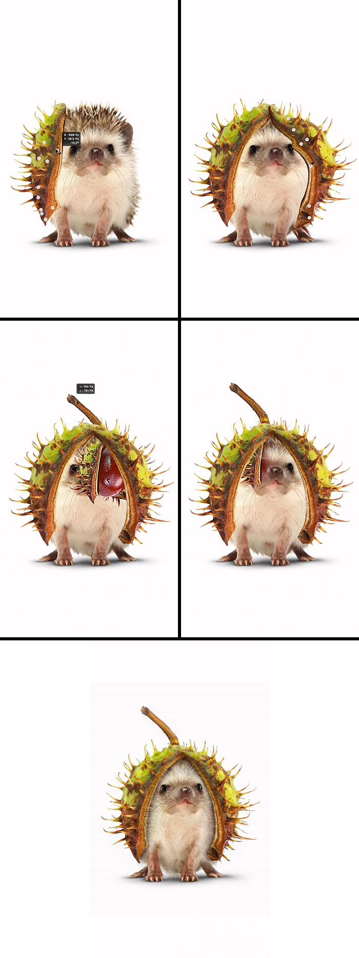 This Artist Creates Absurd Animal Hybrids That Look Like They Came From A Fever Dream (29 Pics)