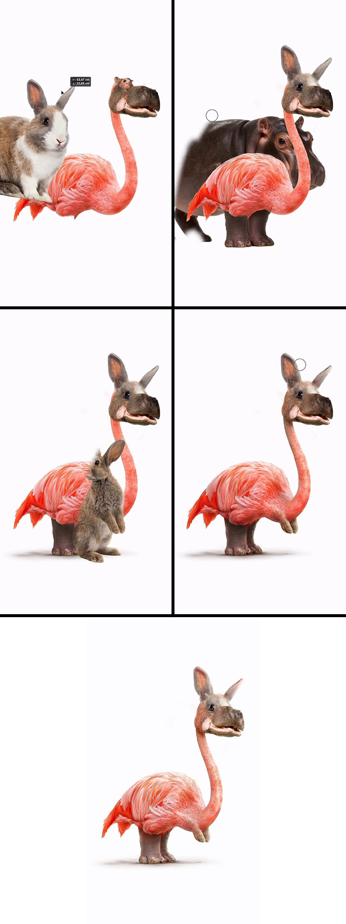 This Artist Creates Absurd Animal Hybrids That Look Like They Came From A Fever Dream (29 Pics)
