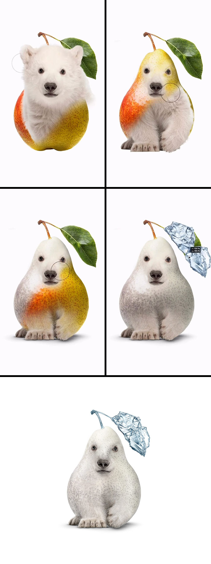 This Artist Creates Absurd Animal Hybrids That Look Like They Came From A Fever Dream (29 Pics)