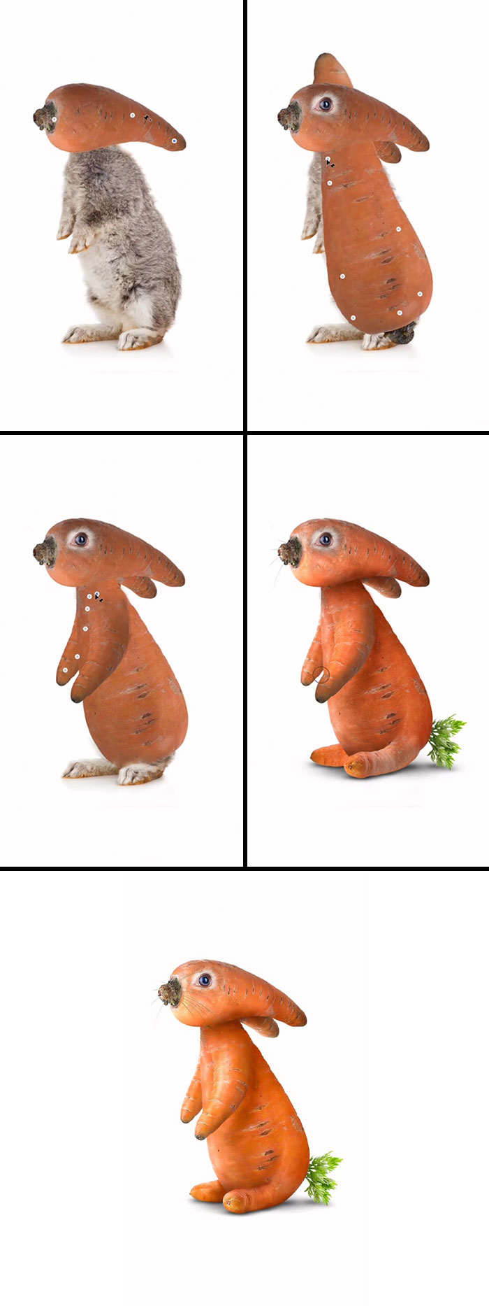 This Artist Creates Absurd Animal Hybrids That Look Like They Came From A Fever Dream (29 Pics)