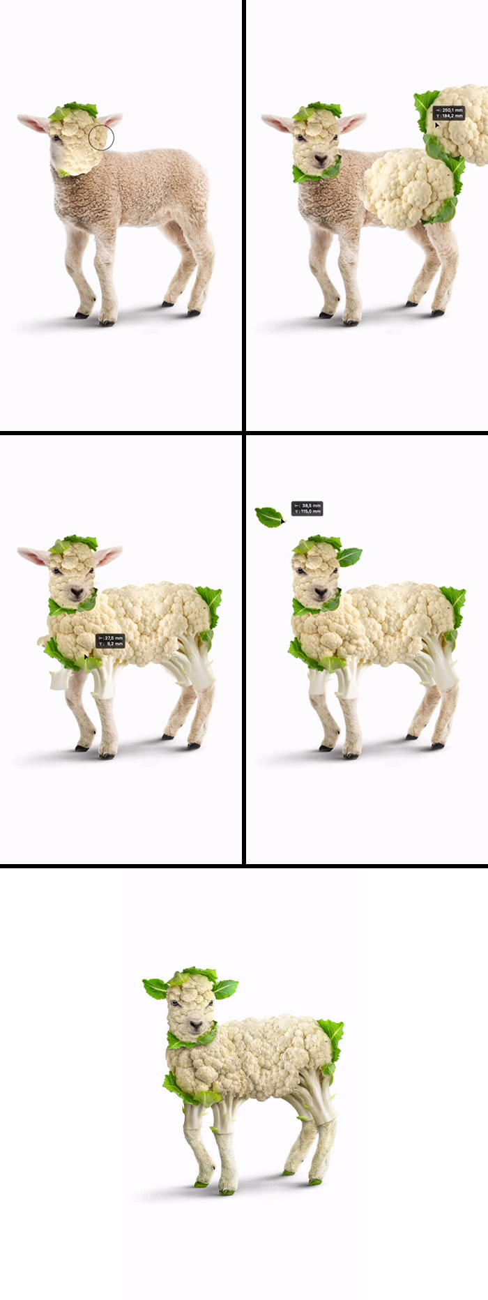 This Artist Creates Absurd Animal Hybrids That Look Like They Came From A Fever Dream (29 Pics)