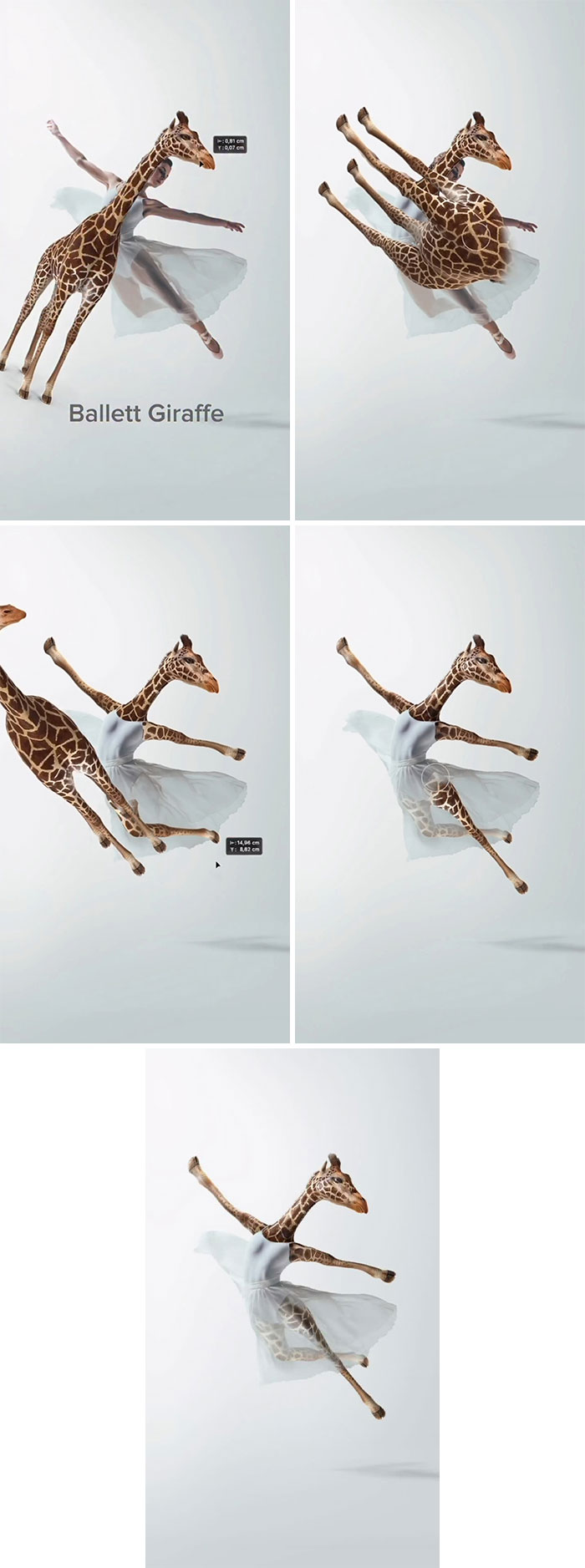 This Artist Creates Absurd Animal Hybrids That Look Like They Came From A Fever Dream (29 Pics)