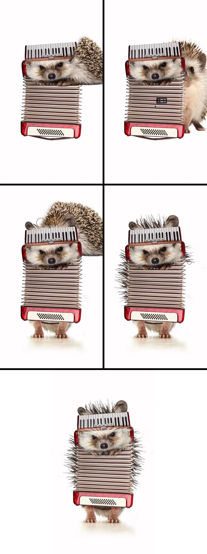 This Artist Creates Absurd Animal Hybrids That Look Like They Came From A Fever Dream (29 Pics)