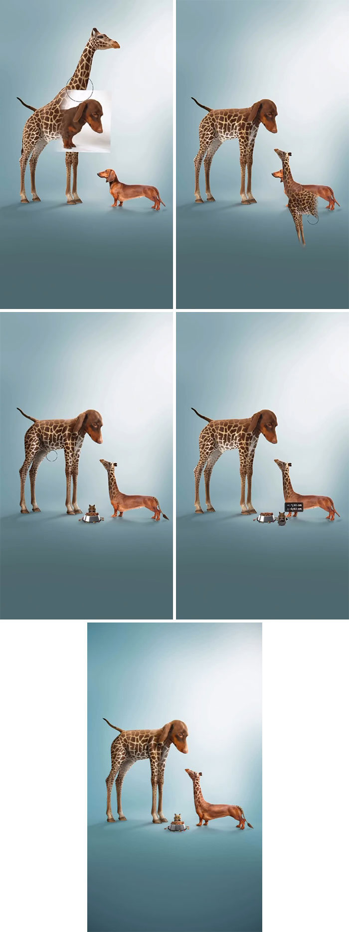 This Artist Creates Absurd Animal Hybrids That Look Like They Came From A Fever Dream (29 Pics)