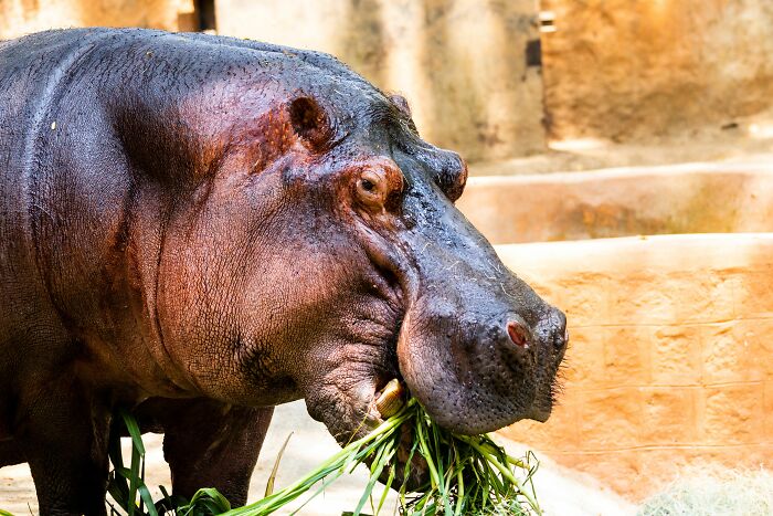 43 Harmless-Looking Things That Can Be Way More Dangerous Than People Realize
