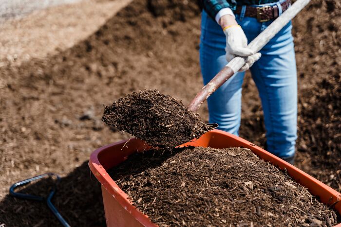 43 Harmless-Looking Things That Can Be Way More Dangerous Than People Realize