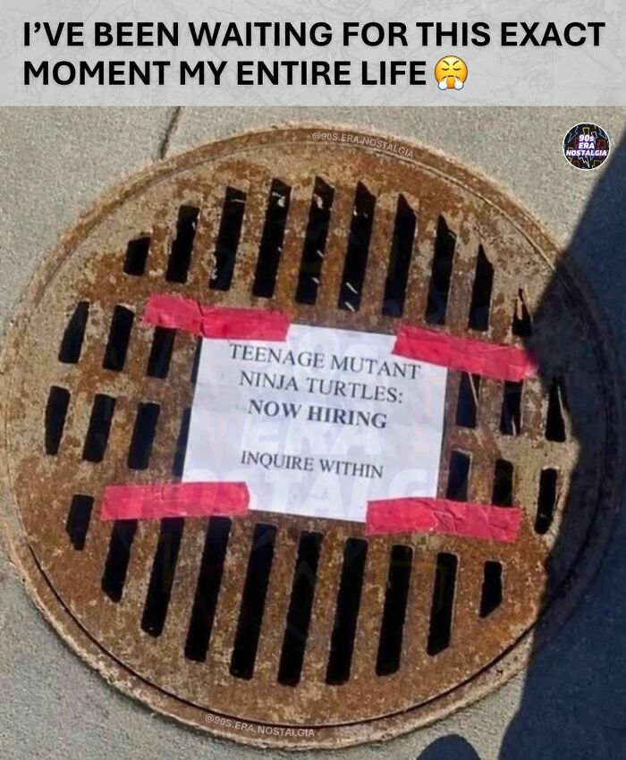 &ldquo;Watch Out For The Turtles, So They Don&rsquo;t Mistake You For Shredder&rdquo;: 65 Hilarious &lsquo;90s Memes (New Pics)
