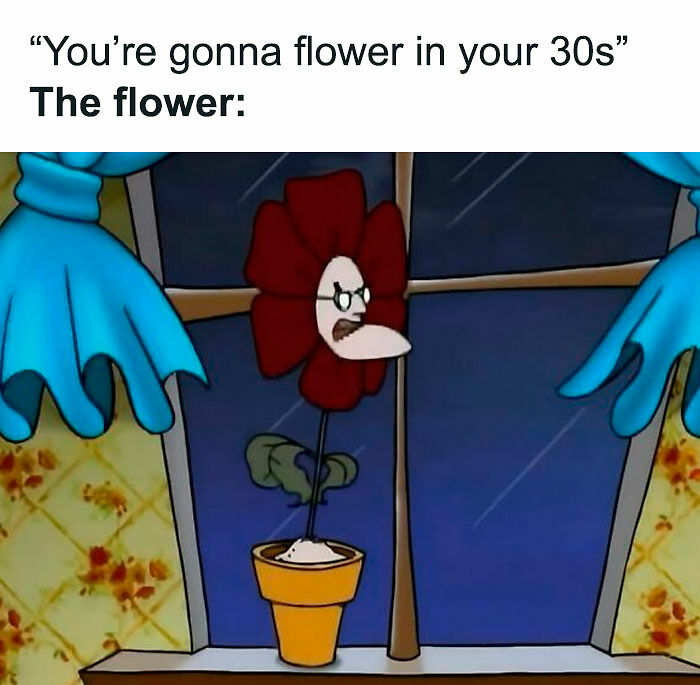 &ldquo;Watch Out For The Turtles, So They Don&rsquo;t Mistake You For Shredder&rdquo;: 65 Hilarious &lsquo;90s Memes (New Pics)