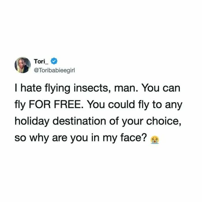 66 Funny Tweets That Are A Bit Unhinged But So Is Life (New Pics) 66 Funny Tweets That Are A Bit Unhinged But So Is Life (New Pics)