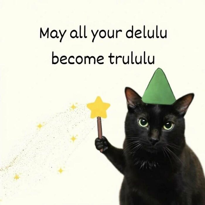 77 Cat Memes You Will Probably Want To Send To Someone Special