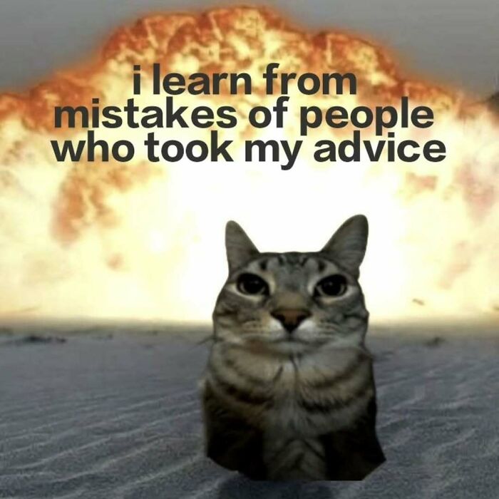 77 Cat Memes You Will Probably Want To Send To Someone Special