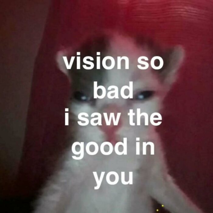 77 Cat Memes You Will Probably Want To Send To Someone Special