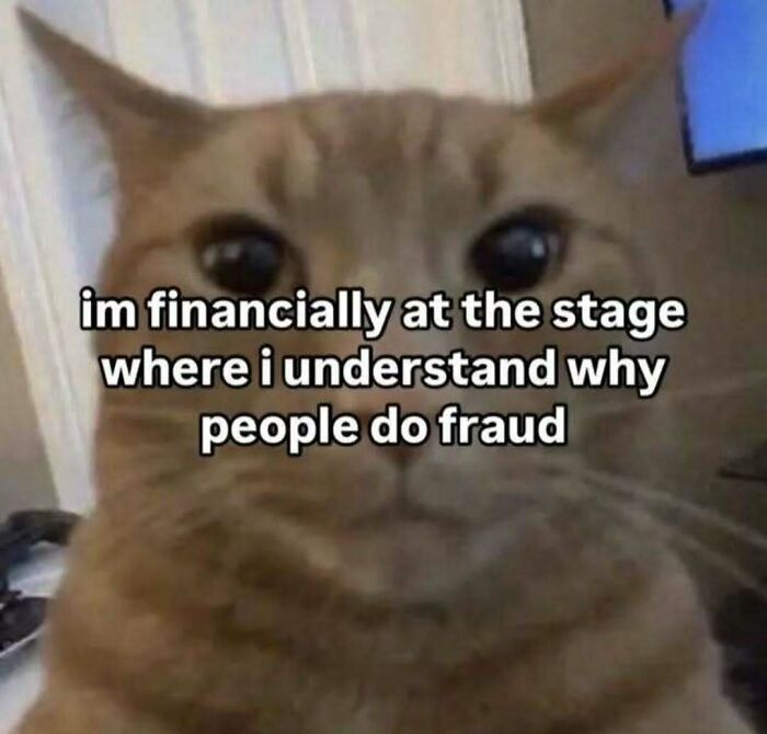 77 Cat Memes You Will Probably Want To Send To Someone Special