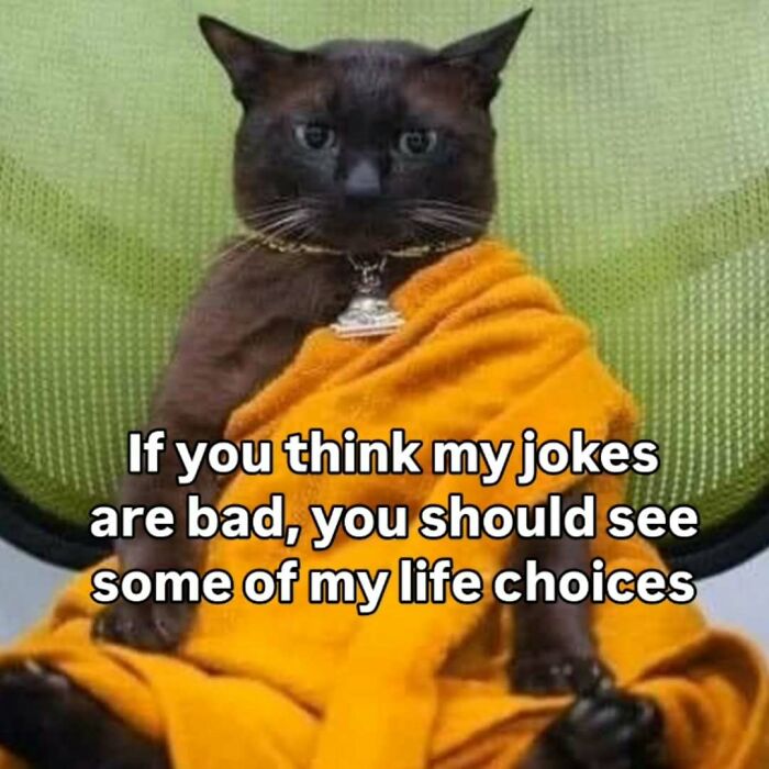 77 Cat Memes You Will Probably Want To Send To Someone Special
