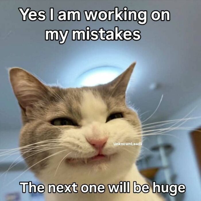 77 Cat Memes You Will Probably Want To Send To Someone Special