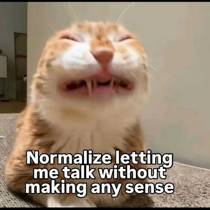 77 Cat Memes You Will Probably Want To Send To Someone Special