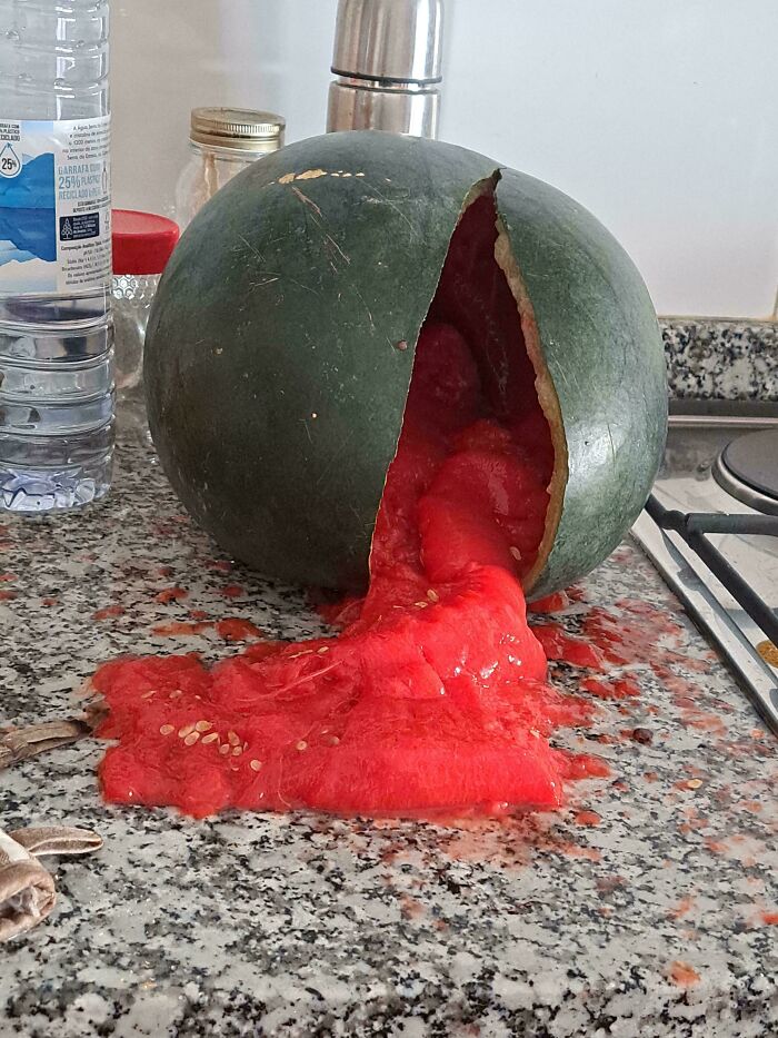 73 Unfortunate Kitchen Fails That Are So Bad It Would Be Best To Throw The Whole Kitchen Away