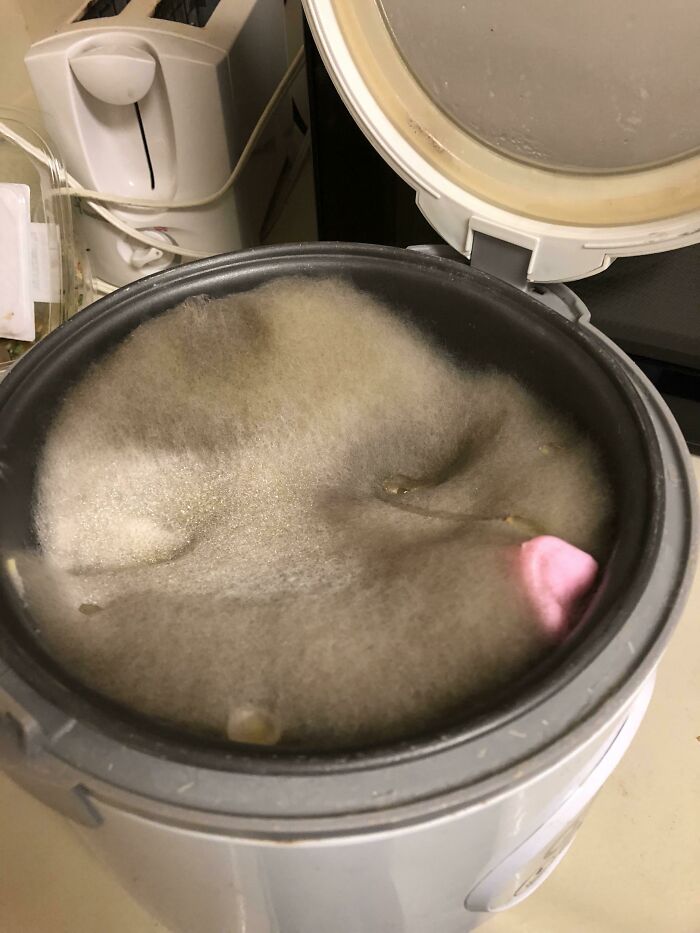 73 Unfortunate Kitchen Fails That Are So Bad It Would Be Best To Throw The Whole Kitchen Away