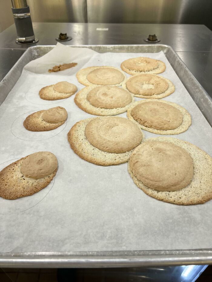 73 Unfortunate Kitchen Fails That Are So Bad It Would Be Best To Throw The Whole Kitchen Away