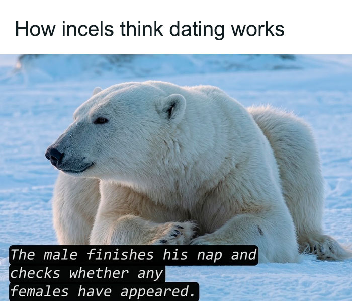 65 Chucklesome Memes About Relationships, Life And Everything Else