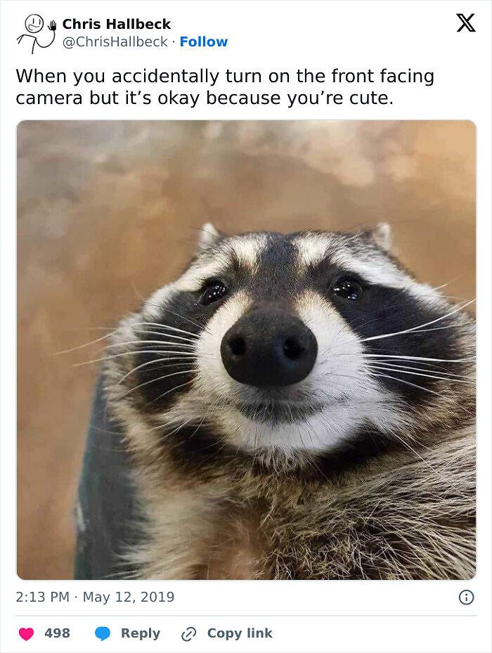 65 Chucklesome Memes About Relationships, Life And Everything Else