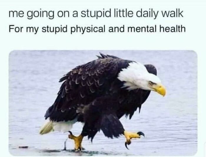 65 Chucklesome Memes About Relationships, Life And Everything Else