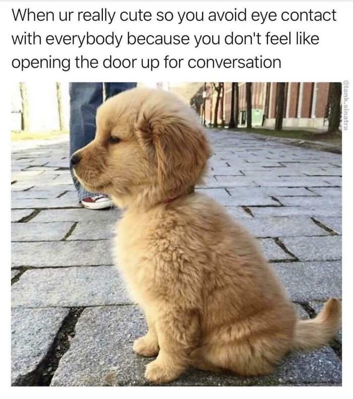 65 Chucklesome Memes About Relationships, Life And Everything Else