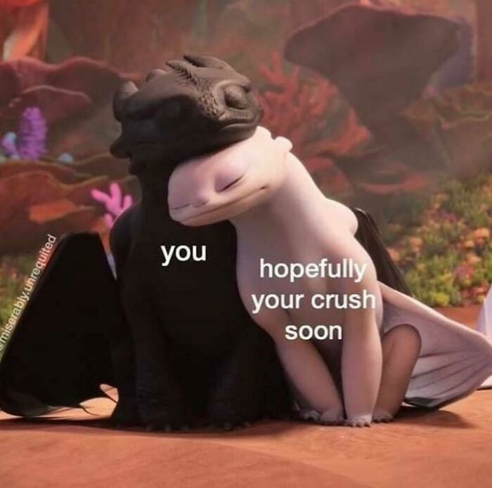65 Chucklesome Memes About Relationships, Life And Everything Else