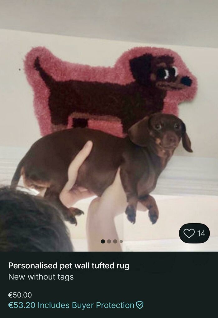 &ldquo;Am I The Vinted Idiot?&rdquo;: 72 Unhinged Vinted Posts That Had People Doing A Second And Third Take (New Pics)