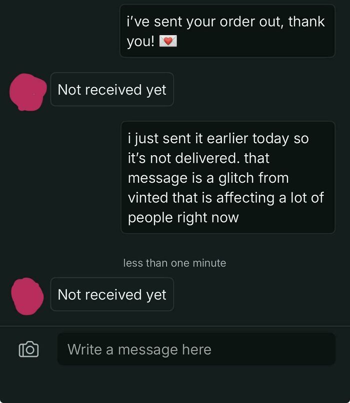 &ldquo;Am I The Vinted Idiot?&rdquo;: 72 Unhinged Vinted Posts That Had People Doing A Second And Third Take (New Pics)
