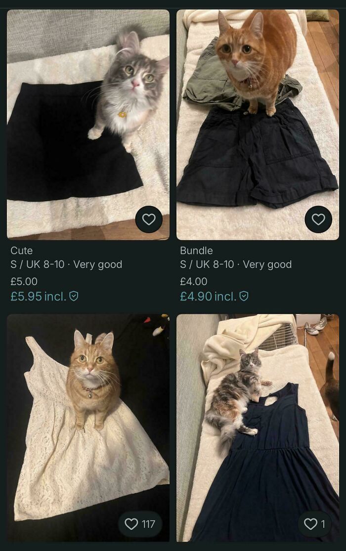 &ldquo;Am I The Vinted Idiot?&rdquo;: 72 Unhinged Vinted Posts That Had People Doing A Second And Third Take (New Pics)