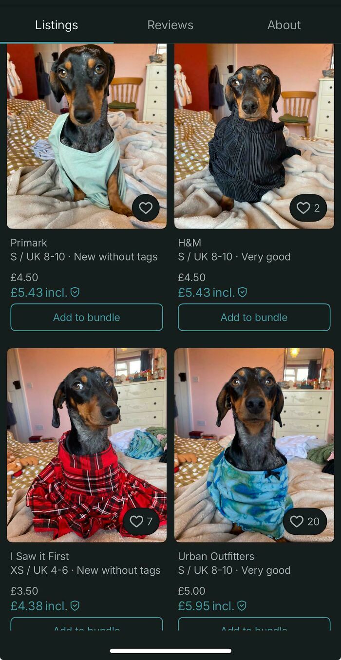 &ldquo;Am I The Vinted Idiot?&rdquo;: 72 Unhinged Vinted Posts That Had People Doing A Second And Third Take (New Pics)