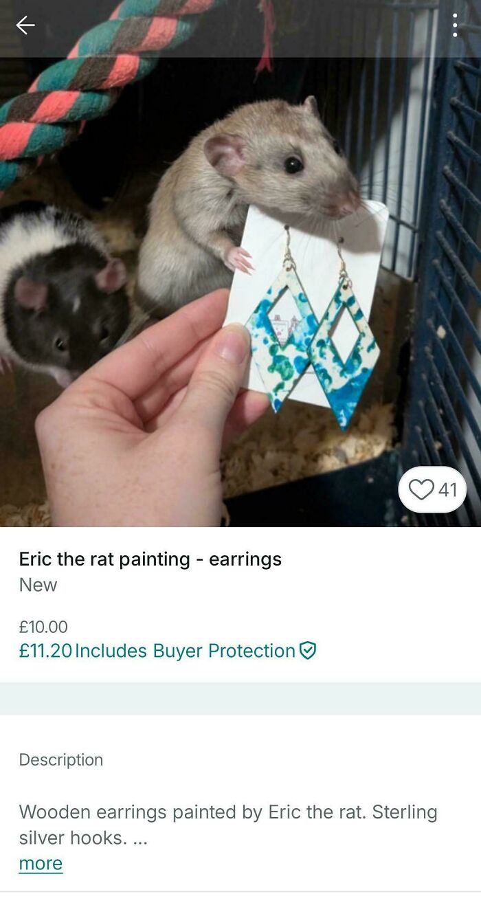 &ldquo;Am I The Vinted Idiot?&rdquo;: 72 Unhinged Vinted Posts That Had People Doing A Second And Third Take (New Pics)
