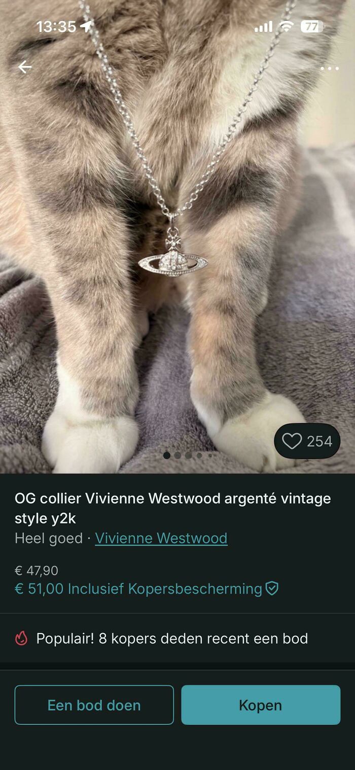&ldquo;Am I The Vinted Idiot?&rdquo;: 72 Unhinged Vinted Posts That Had People Doing A Second And Third Take (New Pics)