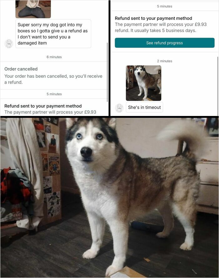 &ldquo;Am I The Vinted Idiot?&rdquo;: 72 Unhinged Vinted Posts That Had People Doing A Second And Third Take (New Pics)