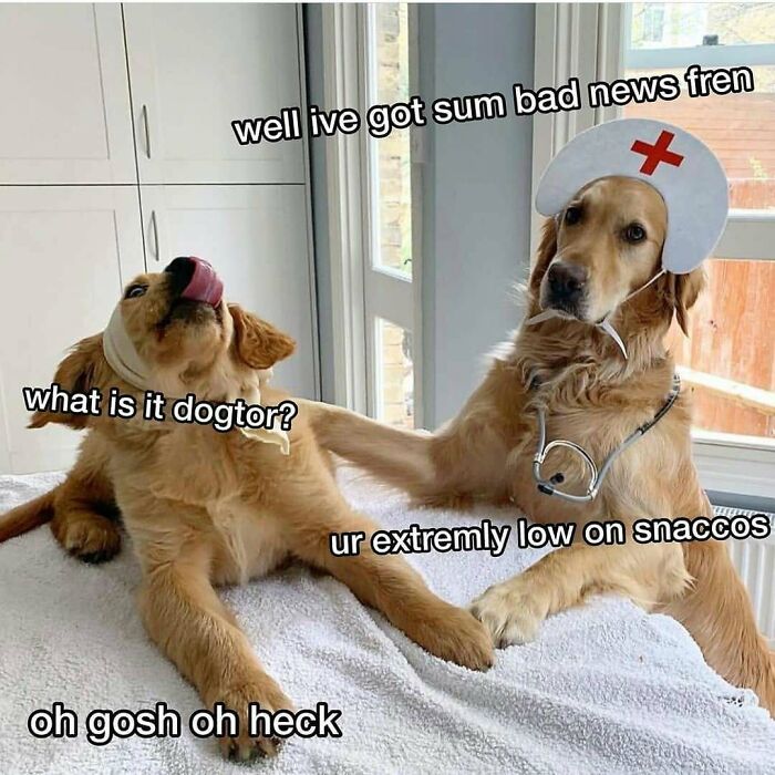 95 Memes For Doctors To Scroll Through Instead Of Reading Another Medical Book