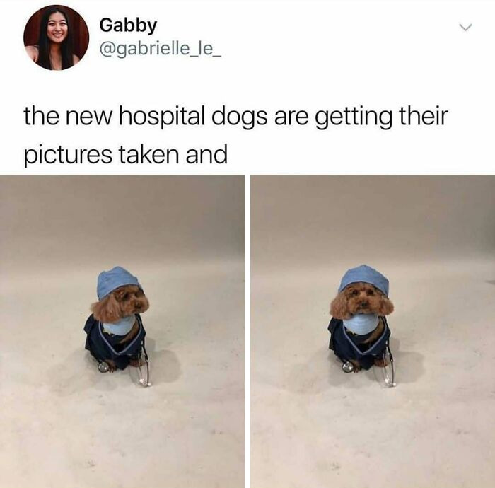 95 Memes For Doctors To Scroll Through Instead Of Reading Another Medical Book