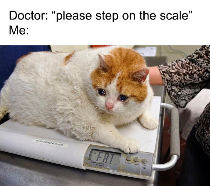 95 Memes For Doctors To Scroll Through Instead Of Reading Another Medical Book