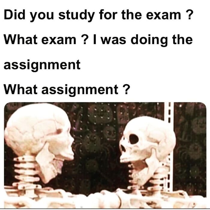 95 Memes For Doctors To Scroll Through Instead Of Reading Another Medical Book