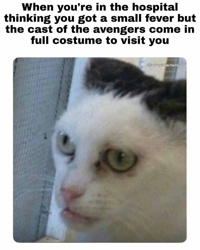 95 Memes For Doctors To Scroll Through Instead Of Reading Another Medical Book