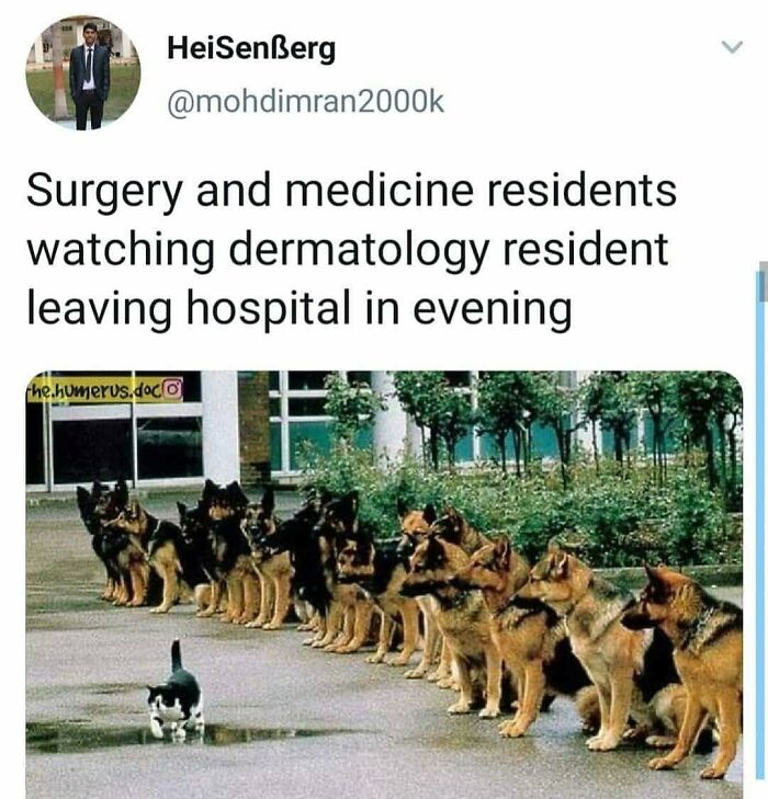 95 Memes For Doctors To Scroll Through Instead Of Reading Another Medical Book