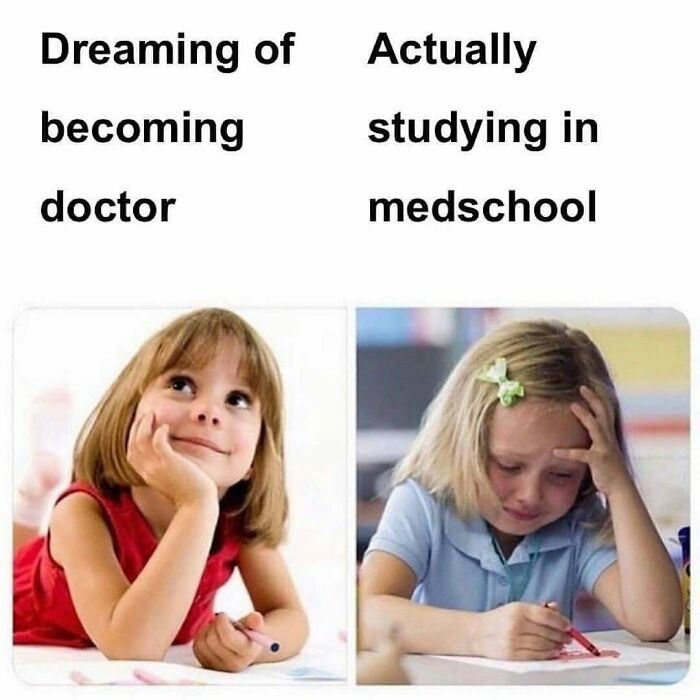 95 Memes For Doctors To Scroll Through Instead Of Reading Another Medical Book