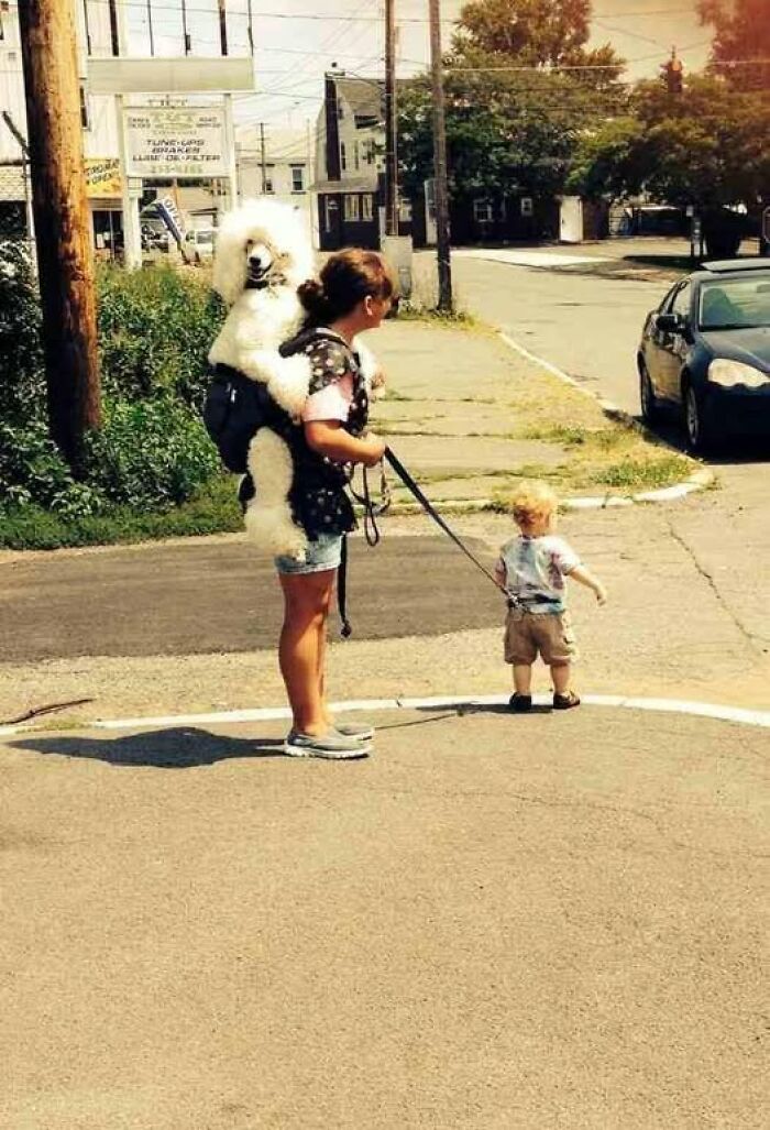 67 Unbelievable Fails That Are So Ridiculous People Had To Share With The World (New Pics)
