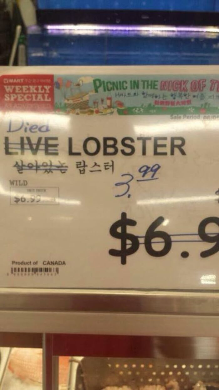 67 Unbelievable Fails That Are So Ridiculous People Had To Share With The World (New Pics)