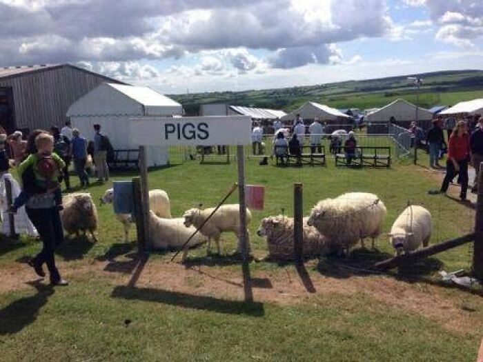 67 Unbelievable Fails That Are So Ridiculous People Had To Share With The World (New Pics)