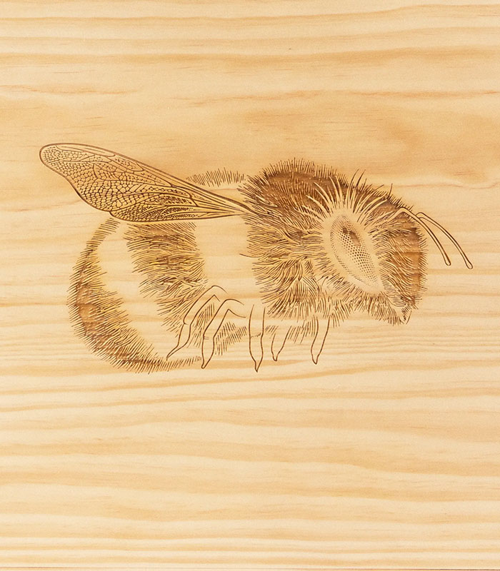 Beyoncé’s $948 Wooden Box Leaves Fans Stunned After They Realize What’s Actually Included Beyoncé’s $948 Wooden Box Leaves Fans Stunned After They Realize What’s Actually Included