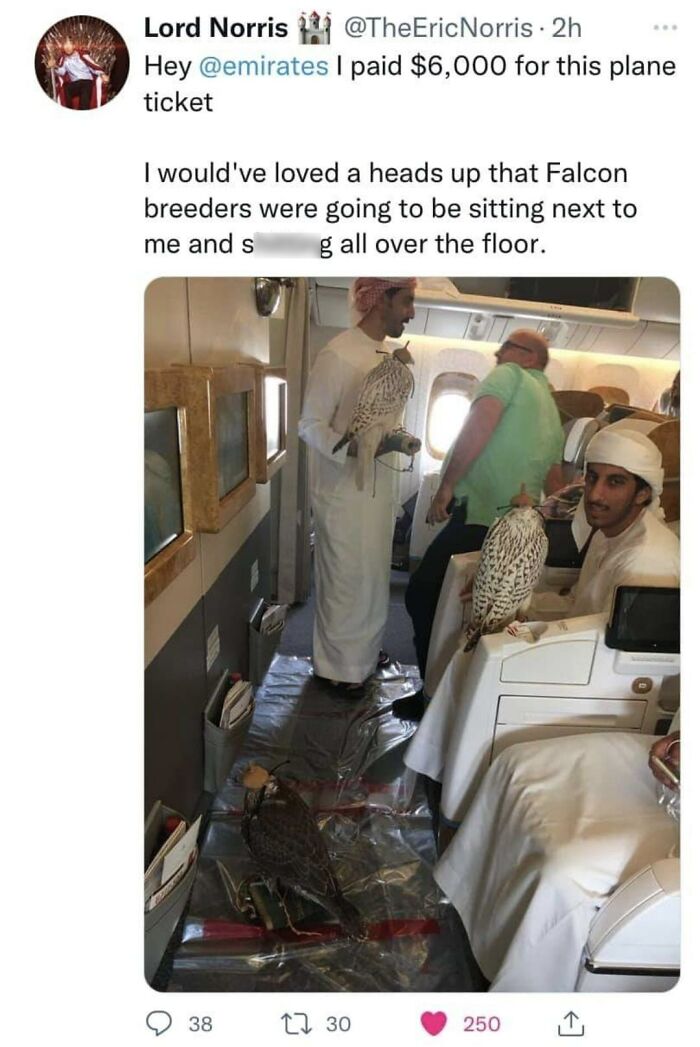 36 Entitled People Who Got A Reality Check At 30,000 Feet