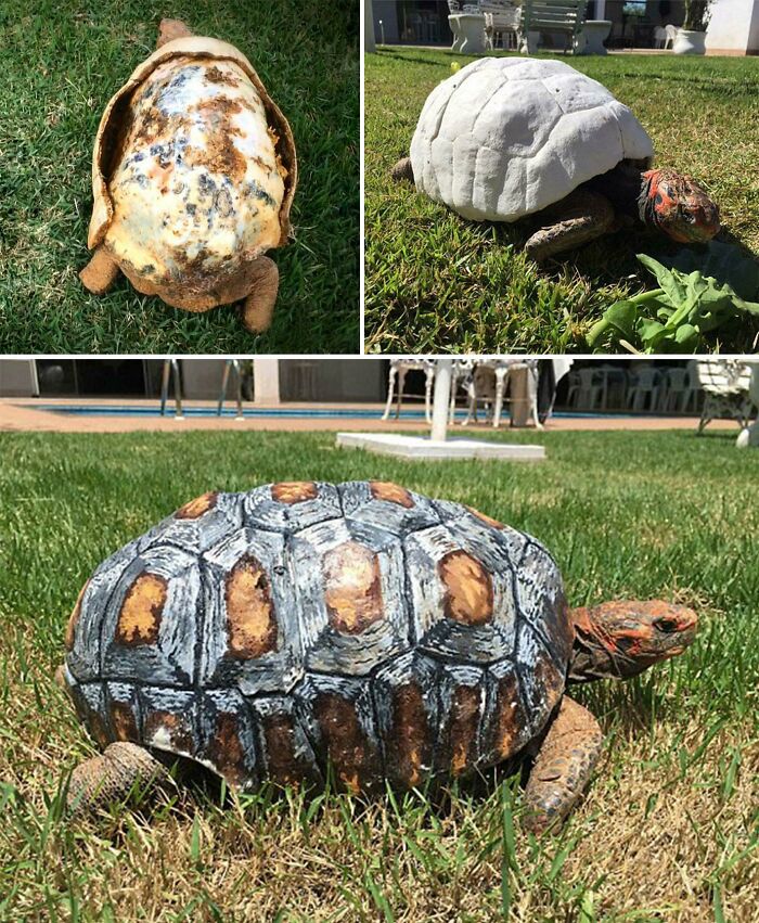 60 Times People Used 3D Printers And Created Some Brilliant Stuff