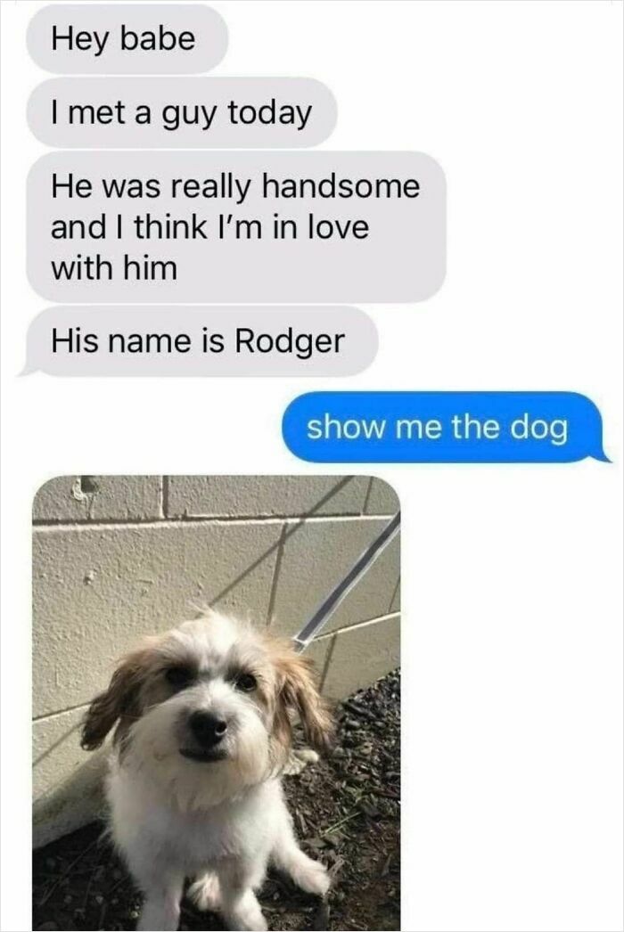 134 Funny And Adorable Animal Memes To Turn Your Day Around