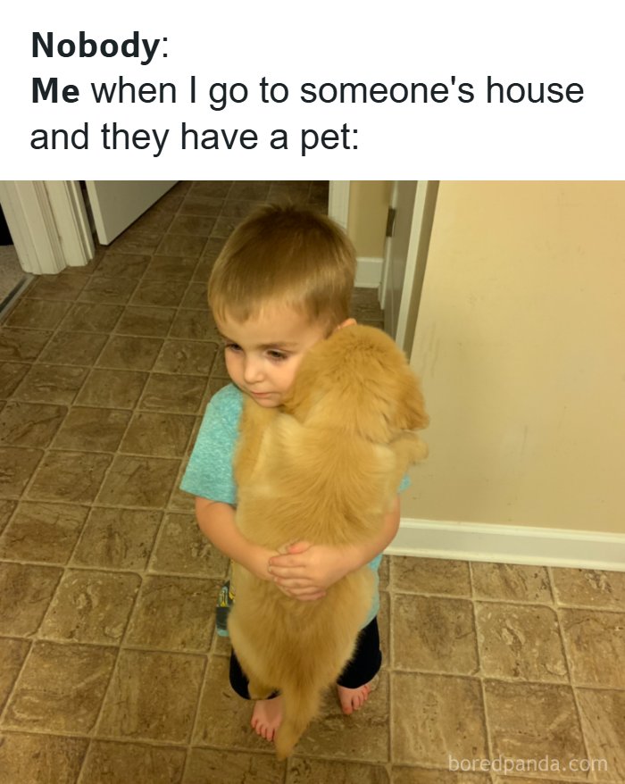 134 Funny And Adorable Animal Memes To Turn Your Day Around
